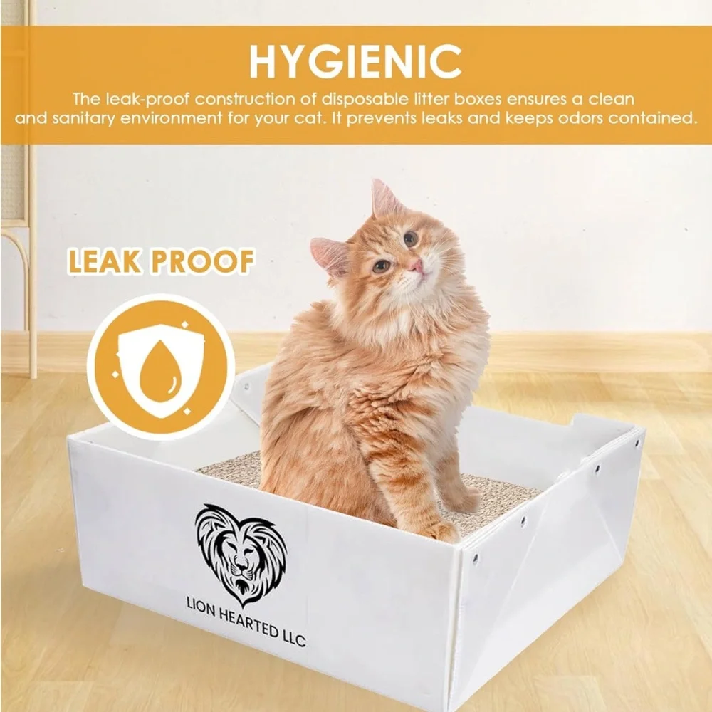 Disposable litter box